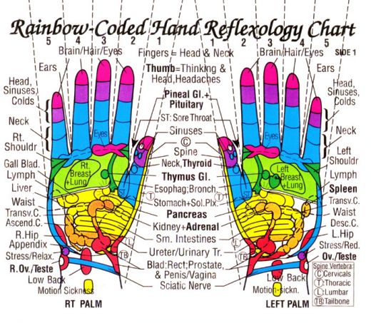 Palm Reflexology Chart