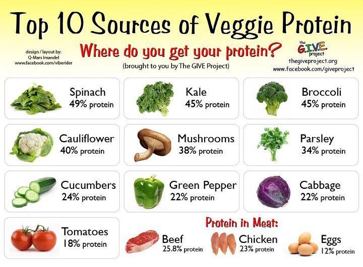 Plant Protein Chart