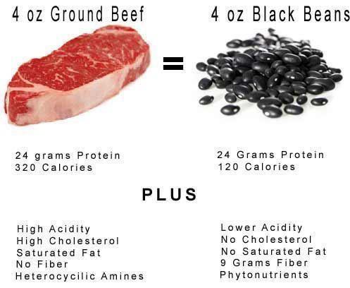 Meat Vs Vegetable Protein Chart