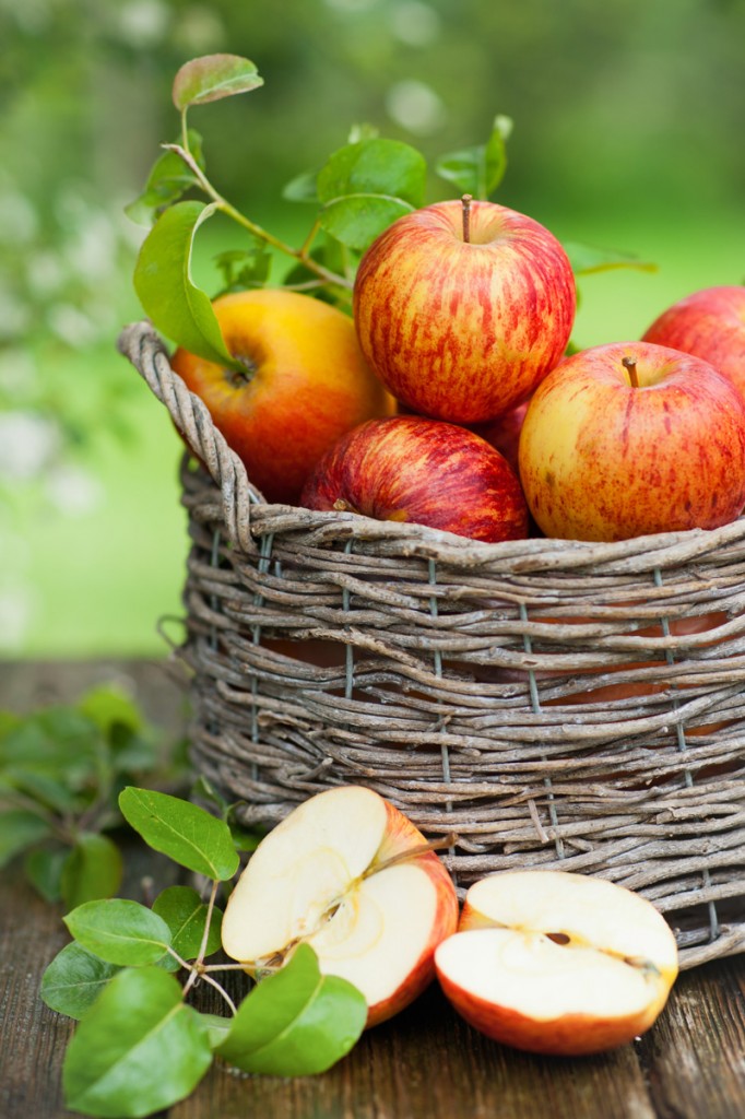 A Basket of Apples a Day Keeps Dr. Pill Away!