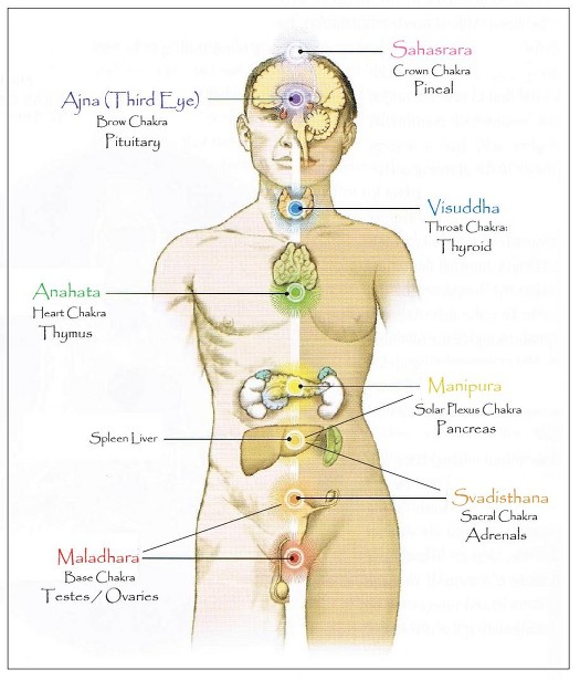 Caroline Myss Chakra Chart