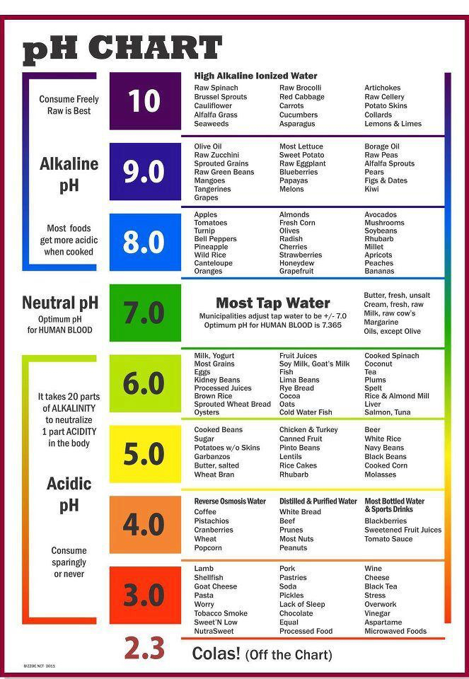 Food Chart With Calories Protein And Carbs