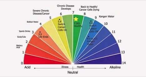 Fat Carb Protein Food Chart