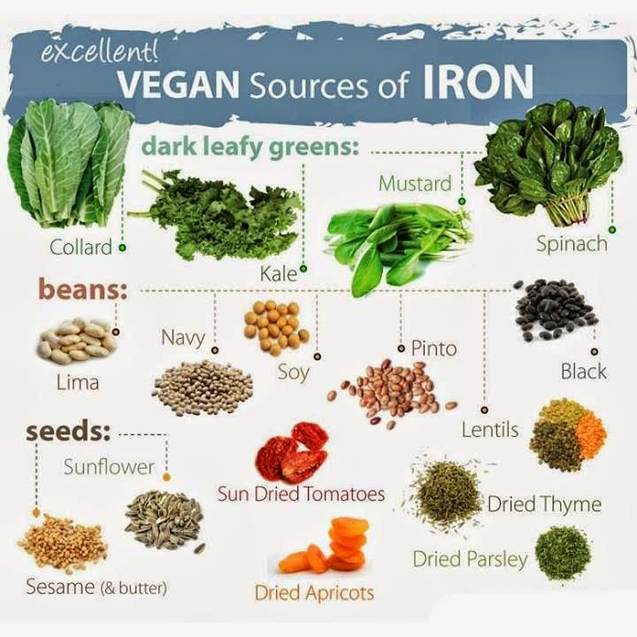 Nutrition Only in Animal-Based Foods Nutrition Only in Animal-Based Foods