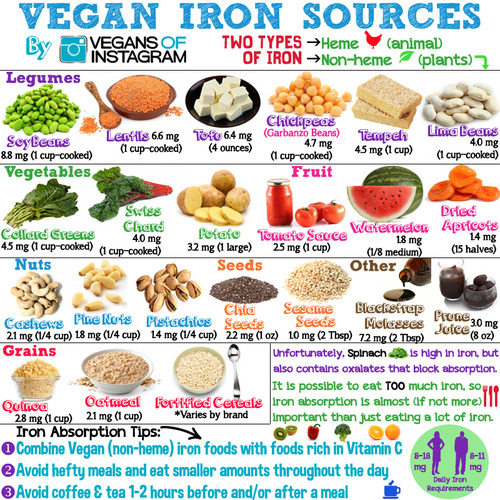 Nutrition Only in Animal-Based Foods Nutrition Only in Animal-Based Foods