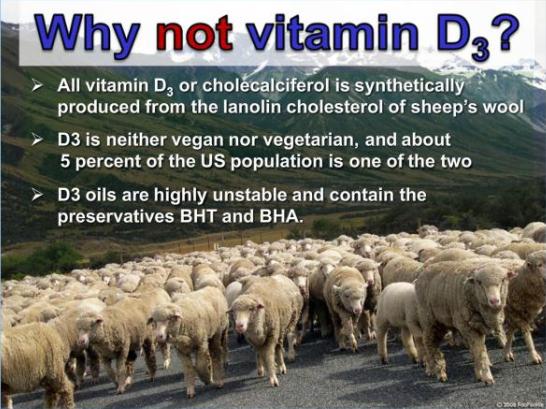 Nutrition Only in Animal-Based Foods