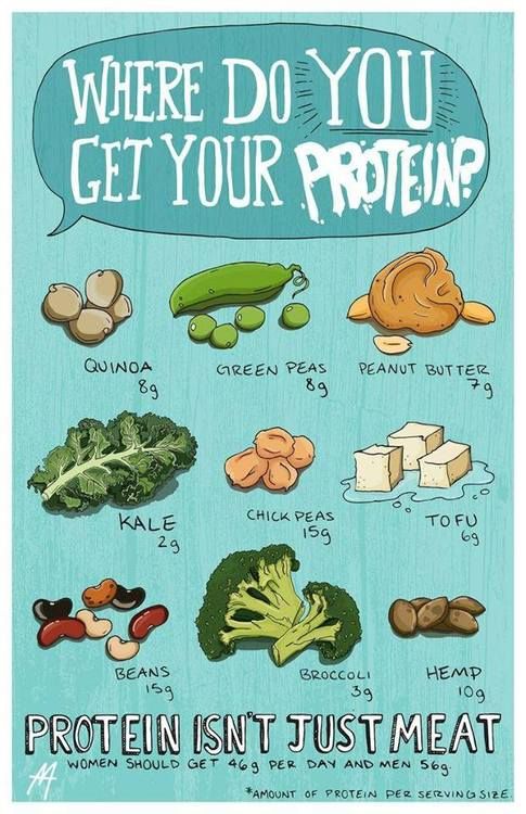 Plant Sources of Protein Building Blocks (Amino Acids)