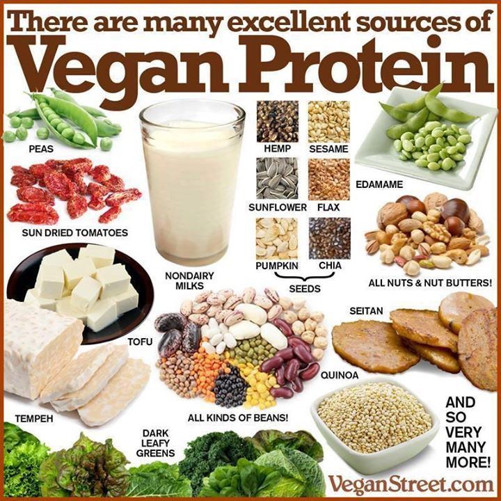 The Protein Report